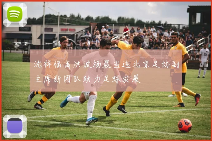 沈祥福高洪波杨晨当选北京足协副主席新团队助力足球发展